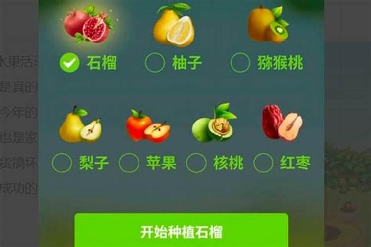 多多果园选错了怎么补救