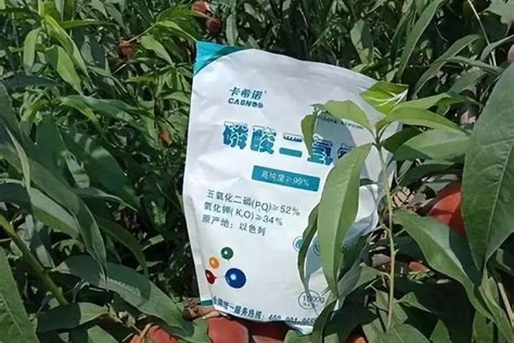 蔬菜叶面肥的使用技术及几种常用的追肥方法