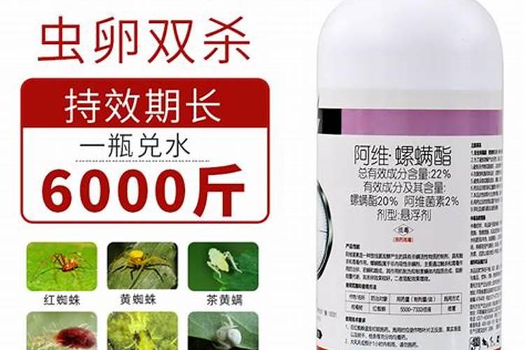茄子夏季如何追肥腐植酸水溶肥呢？