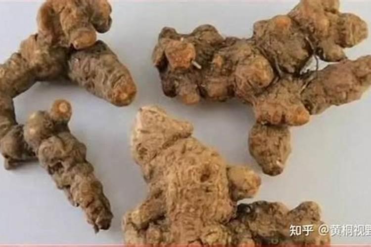 中药材苍术,该如何栽培种植？