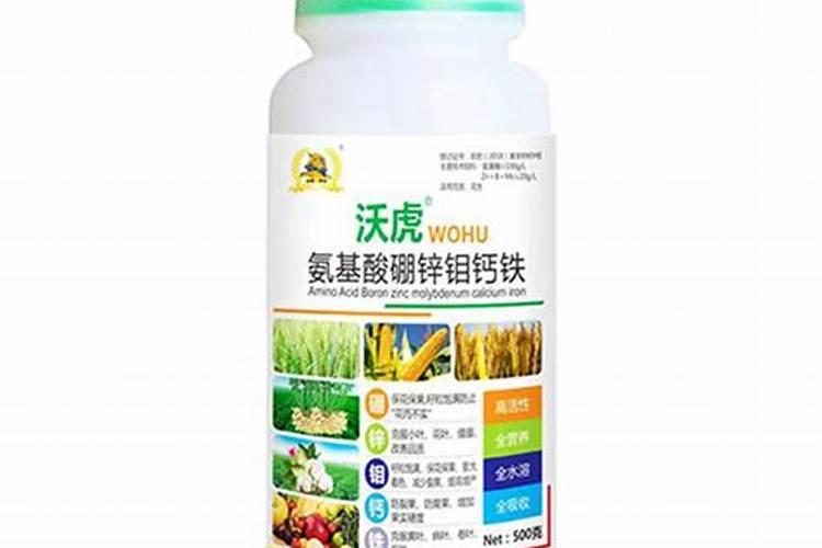 柑桔树叶子朝下卷起是缺什么元素？