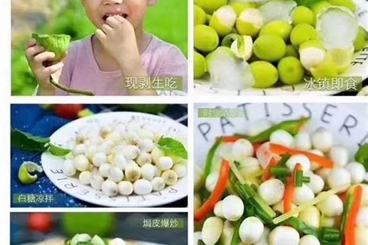 生根壮根的肥料有哪些
