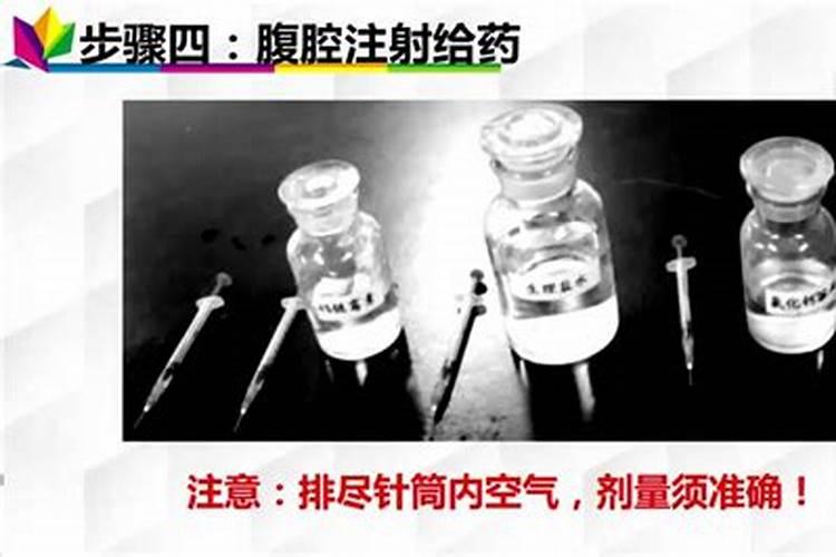 大白菜烂心打什么药