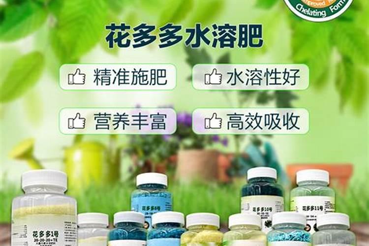 大棚樱桃膨果慢怎么回事？我家的大棚樱桃为什么长不大
