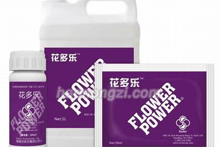 猕猴桃施肥的最佳时间