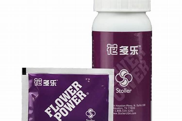 如何让草莓持续开花结果？