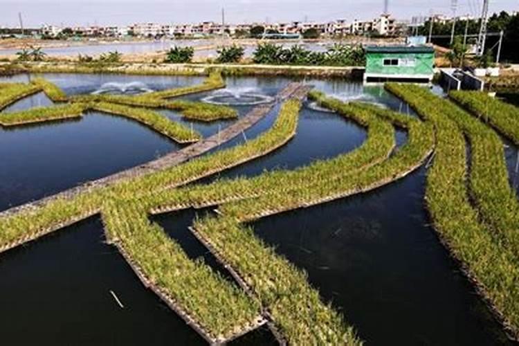 西瓜结果期专用肥是什么肥料？西瓜膨大期上什么肥料好？