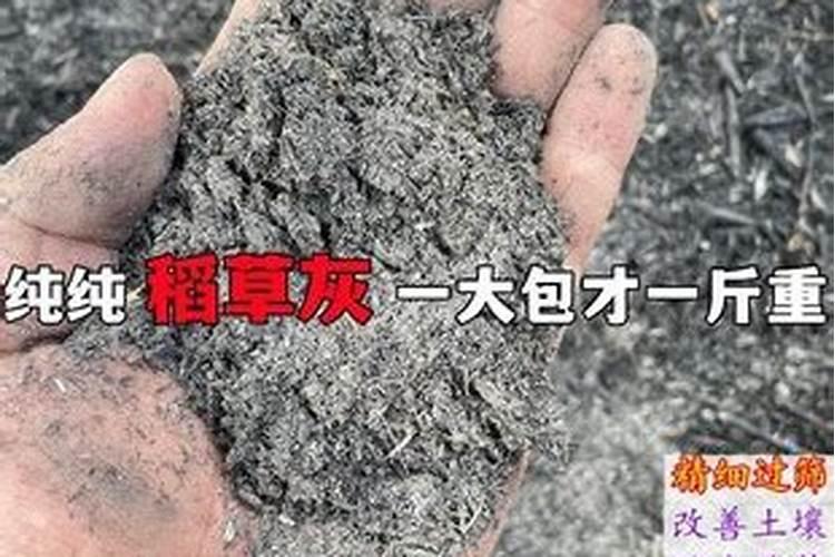 养花施肥的肥料有哪些;养花的肥料有哪几种