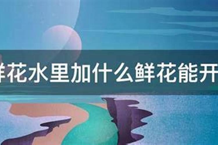 百合插花瓶水养怎么养
