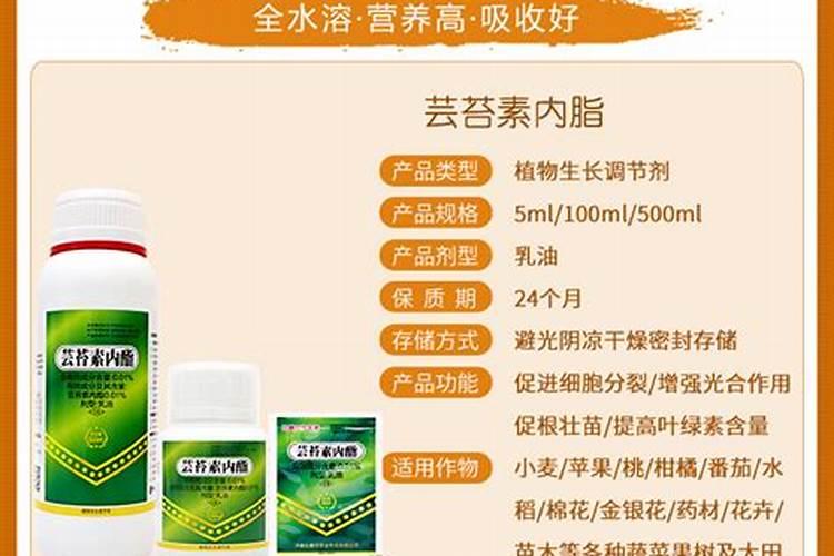 蟹爪兰上什么肥料最好正准备开花