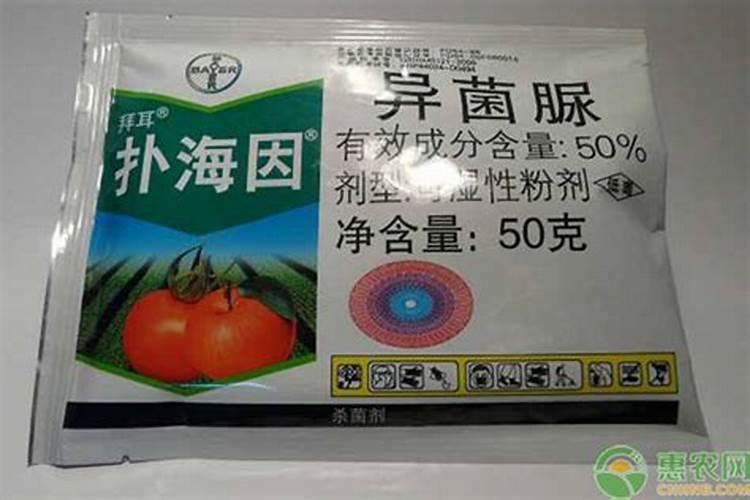 临洮南部南园一带种地膜洋芋施啥肥料好