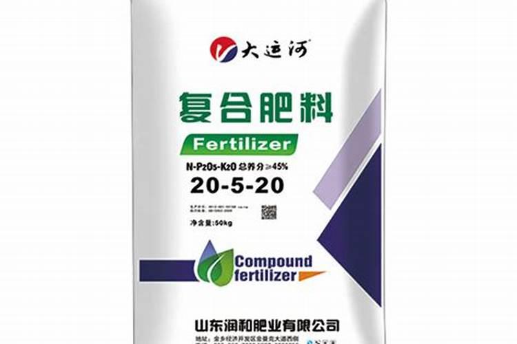 蟹爪兰长芽如何施肥长得又厚又翠绿