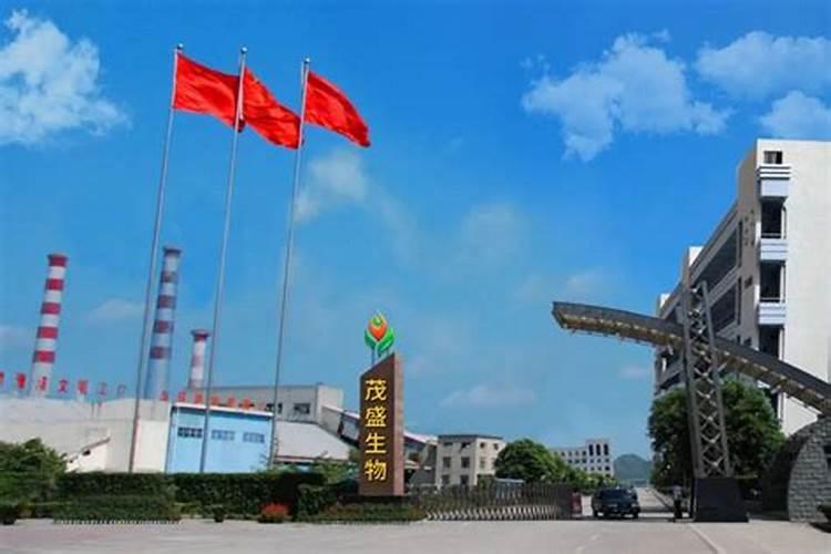 嘉宝果树适合哪里种植