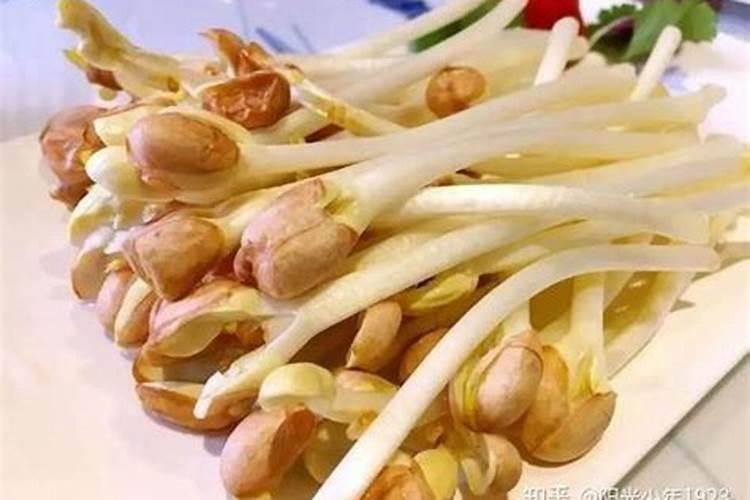 茶叶高效种植管理技术要点 茶叶应该怎么养殖好
