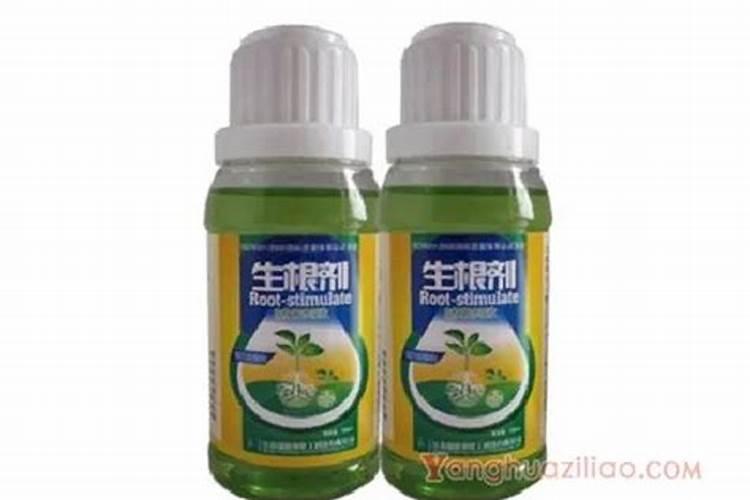 快速生根粉的作用和使用方法 如何正确使用效果更好