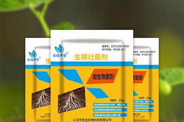 蔬菜叶面肥的使用技术及几种常用的追肥方法