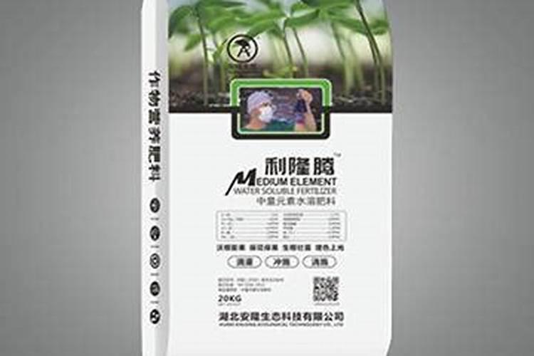 玉米什么时候打叶面肥好 使用方法有哪些