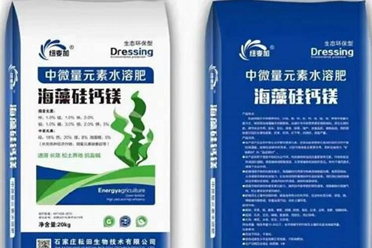 蟹爪兰有花苞怎么养