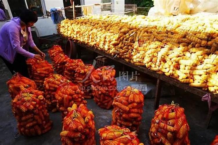 玉米专用肥料什么品牌的好？