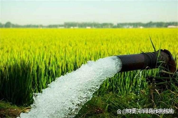 玉米价格一路猛涨毫无停歇迹象,年后玉米的局势真的要出现重大变化？百度...