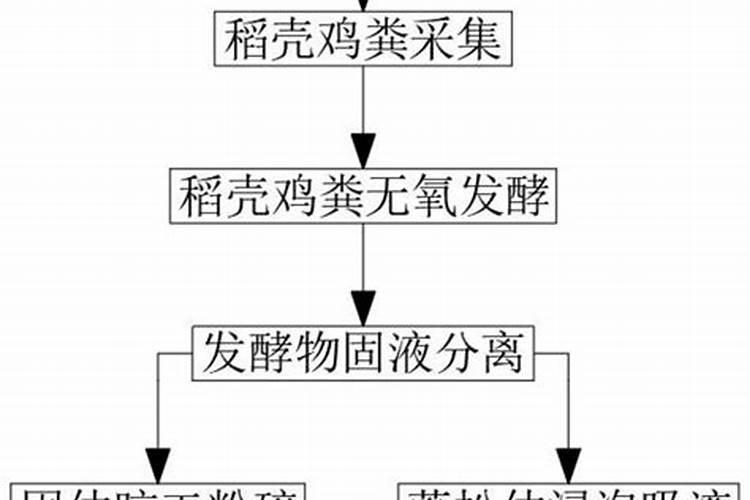 用什么保养三角梅？