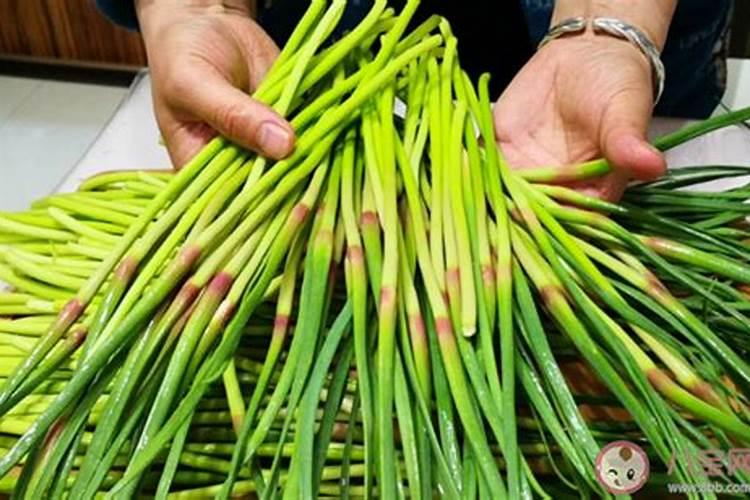 什么时候给葡萄树施肥 葡萄树施肥的最佳时间