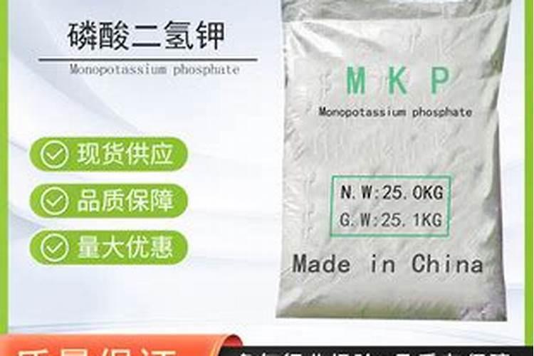 茶花开花期间可不可以叶面施肥.谢谢大家