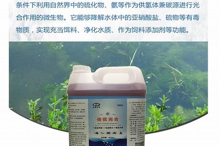 西红柿打什么叶面肥好