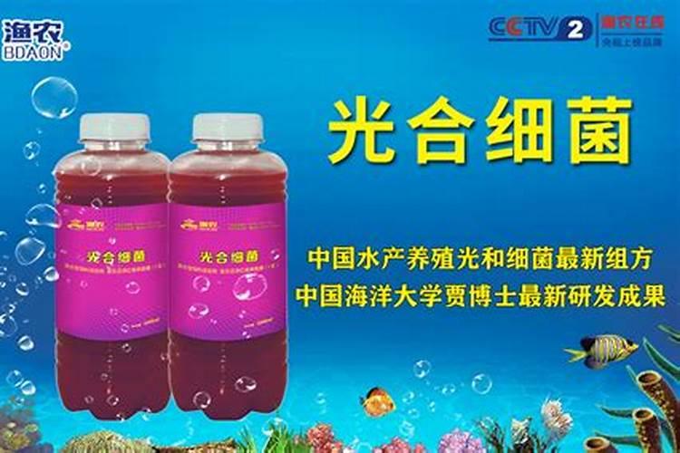 光合细菌肥料光合细菌肥料使用