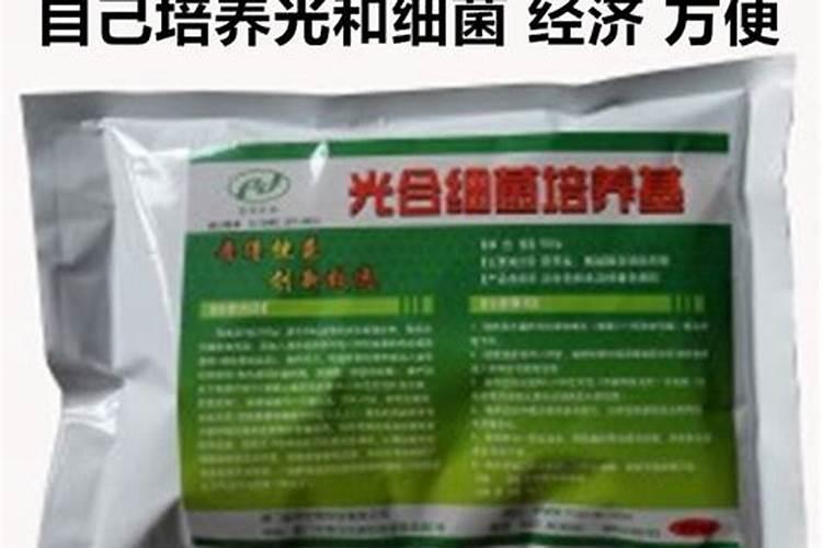 光合菌养鱼能提高产量吗？