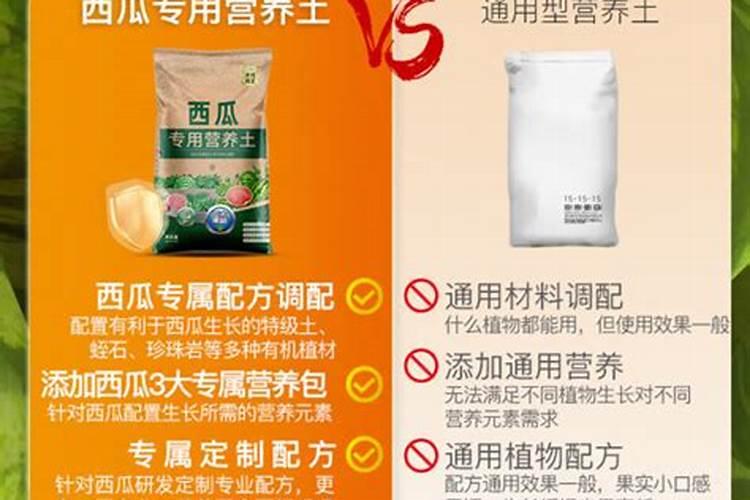 吃什么食物能最快打胎？谢谢了,大神帮忙啊