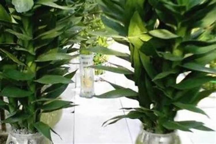 过期味精有啥用途 过期味精还能用吗