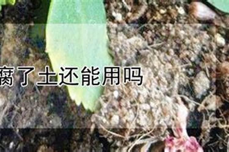 腐植酸叶面肥的具体作用是什么？什么时候用效果最好？