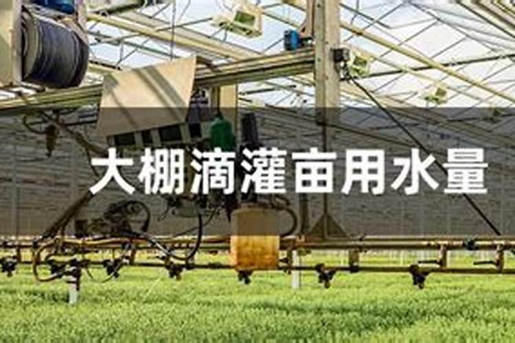 水溶肥如何使用效果更好