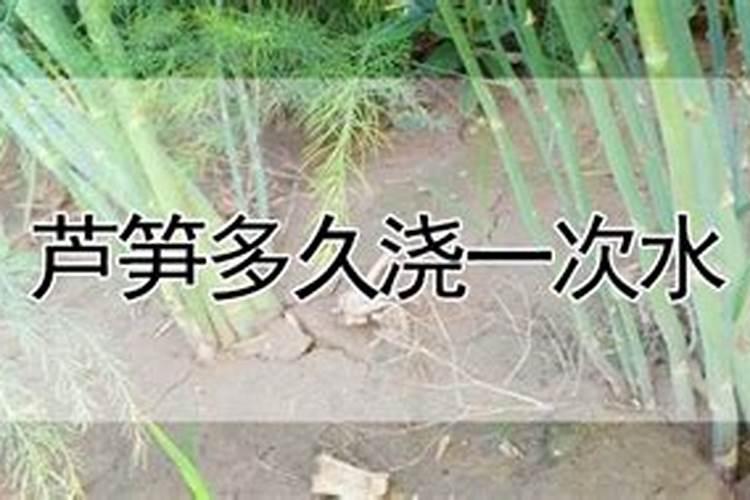 芦笋怎么种植方法