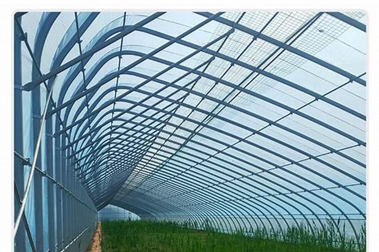烤烟种植一亩有多少