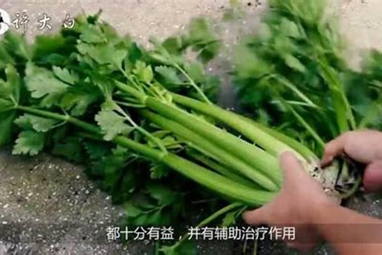 芹菜浇水冲施什么肥料