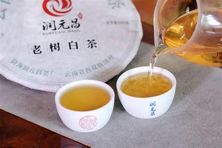怎么种植安吉白茶