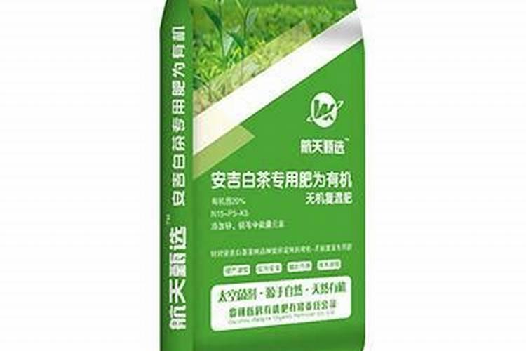 白茶怎么种植