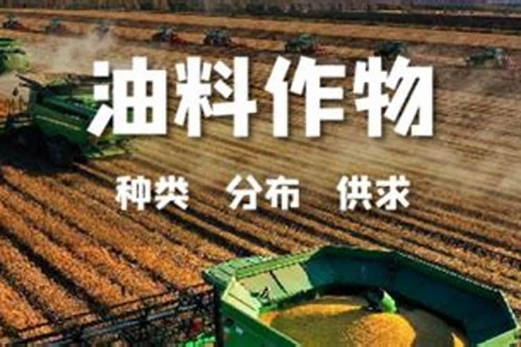 桂花花期能施肥吗,开花时怎么浇水