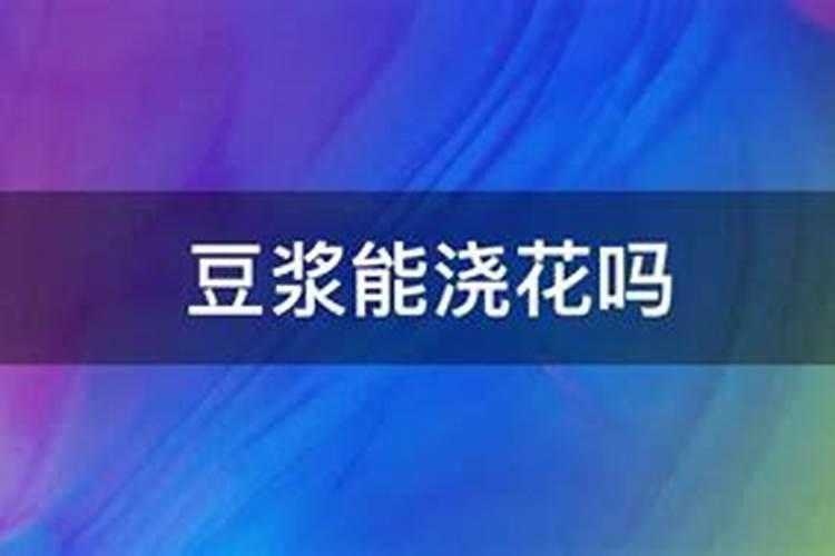 豆浆粉没拆封却过期了该怎么进行处理