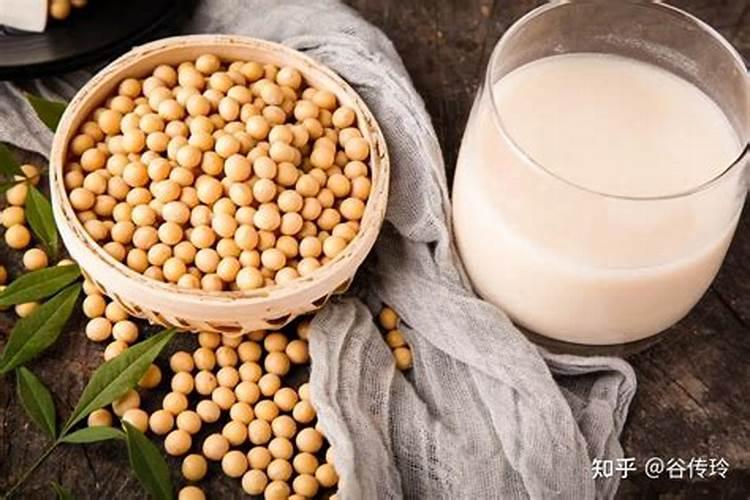 能直接把买过来的豆浆粉做肥料吗