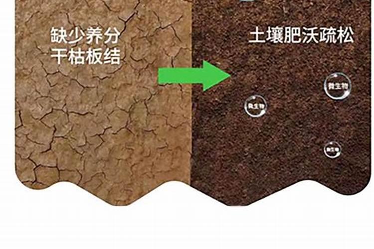 氮肥可以兑水浇花吗