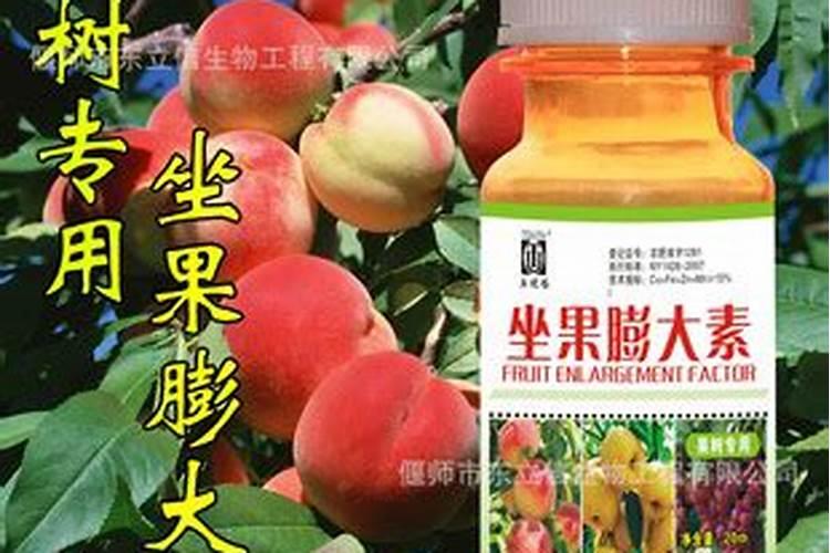 桃树用什么冲施肥最好