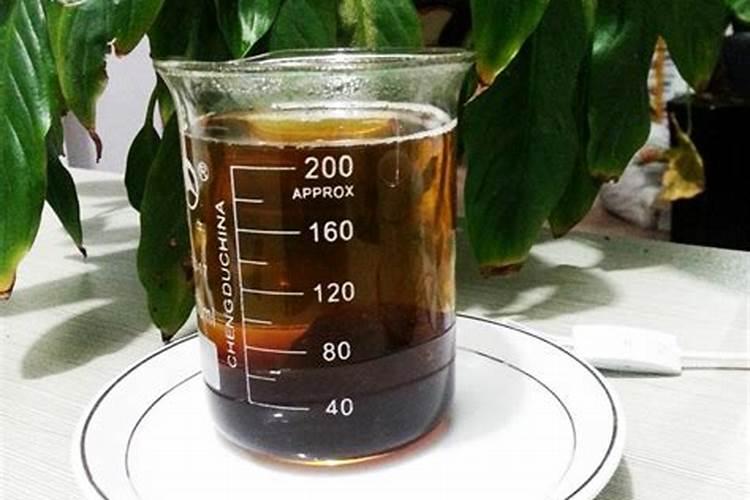 长寿花打骨朵后怎么养？