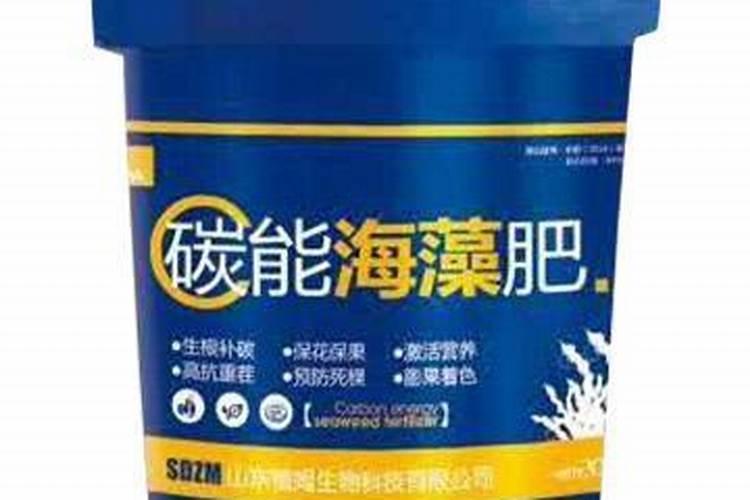 刺梅不开花怎么办