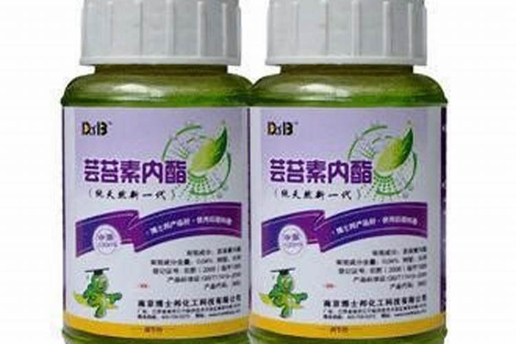 桃树叶子发黄,是什么情况？
