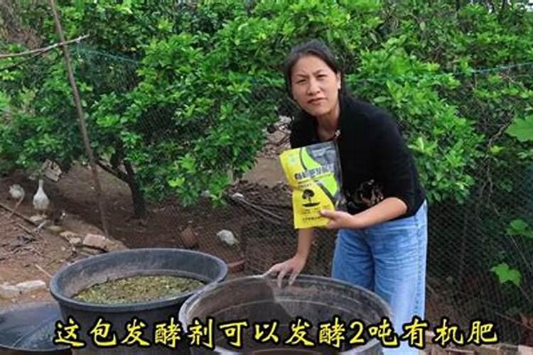 想问茶花多久施一次肥