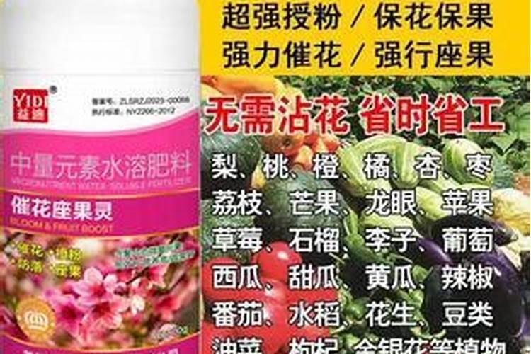 大豆花期喷什么叶面肥好