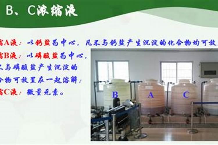 噻虫胶复合肥可以种什么
